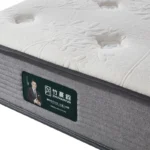 Junzhu 021 - Image 3